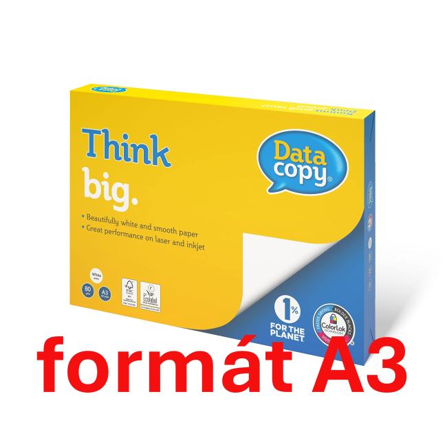 [PA002110] Copy paper Data Copy Everyday A3, 80g