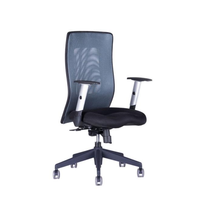 Office chair CALYPSO GRAND BP anthracite