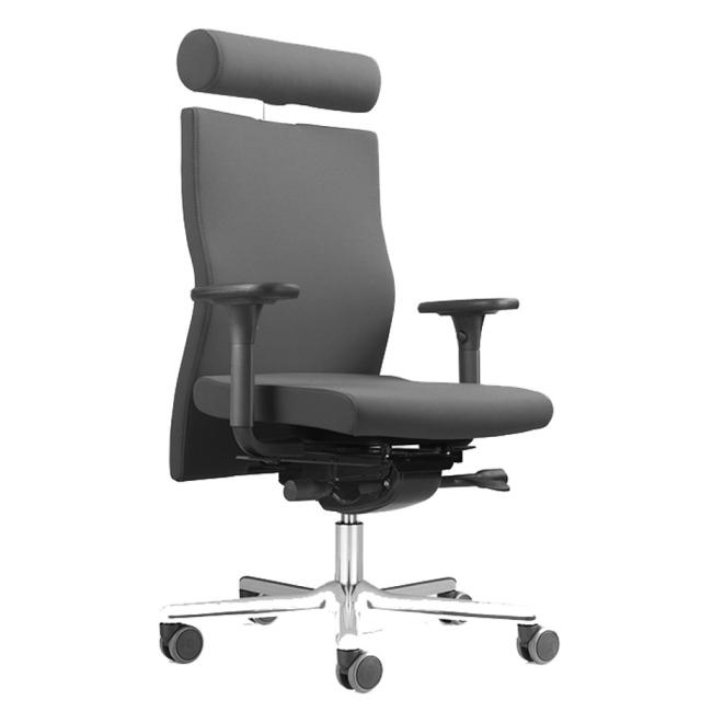 Balance chair LÖFFLER Lezgo LZ 73, A31 gray
