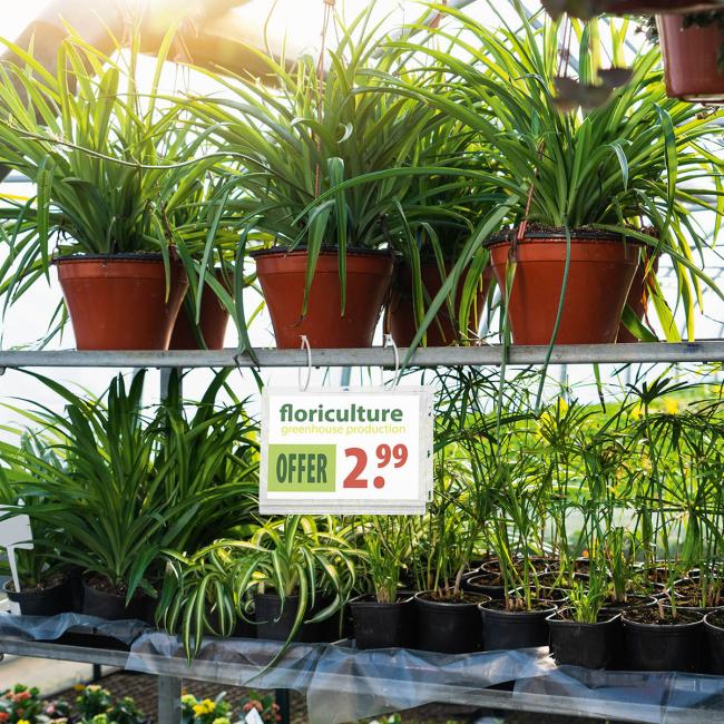 [DU505919] Waterproof bag with handles Durable A5 5 pcs. Waterproof bag format A5