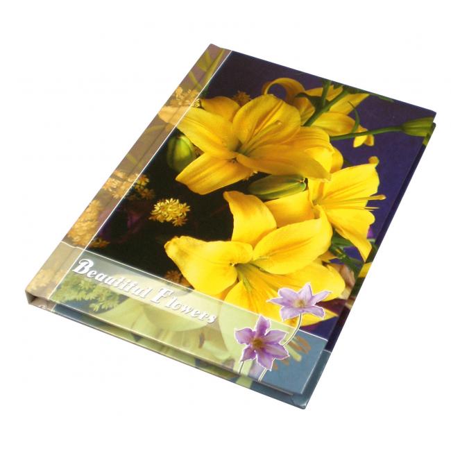 Záznamová kniha A4 100 linajkových listov