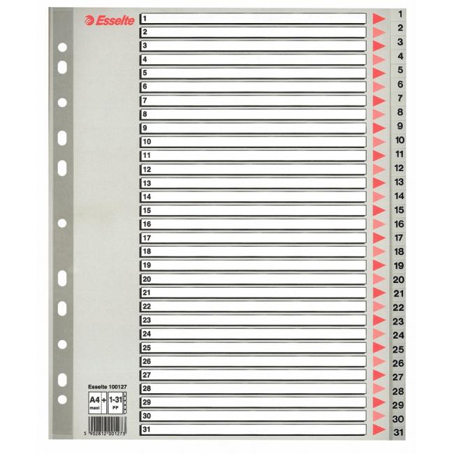 [ES100127] Plastic distributor Esselte 1-31 maxi gray