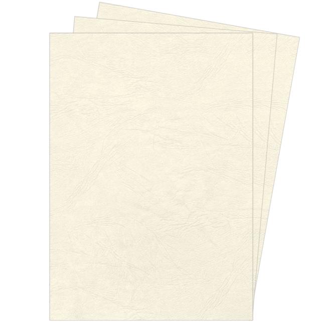 [FE537000] Cardboard envelopes for ring binding Delta leather A4 ivory