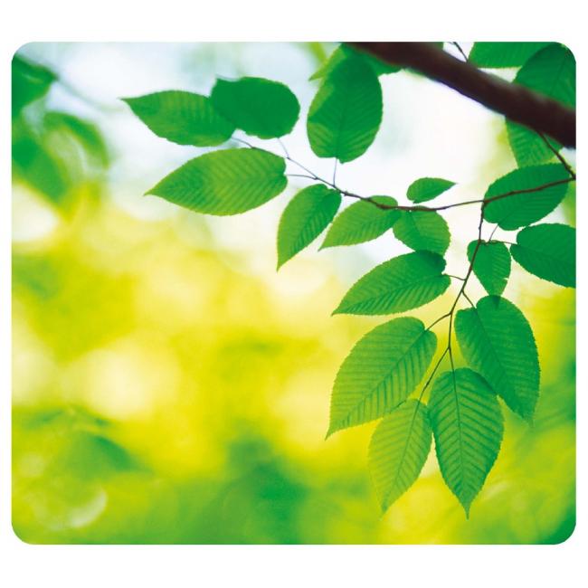 [FE590380] Mouse pad Leaves