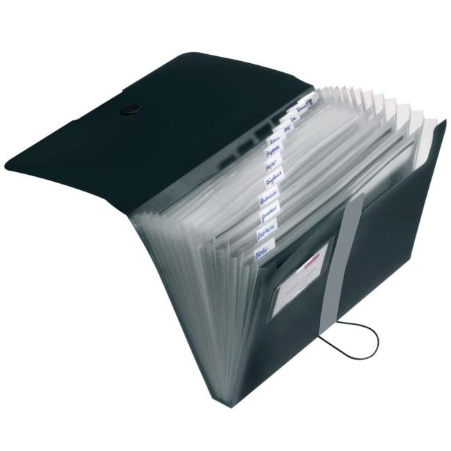 Plastic briefcase with compartments Herlitz Easy Orga opaque black