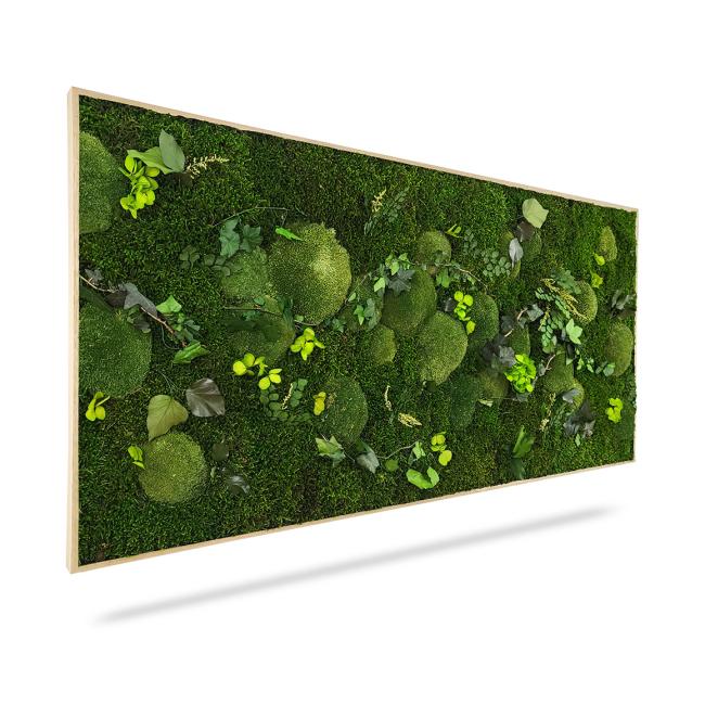 Moss painting PLANTS Mesia, 100x50cm, wooden black frame