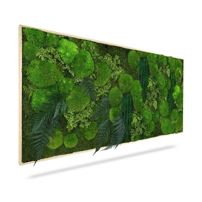Moss painting PLANTS Moreilo, 60x40cm, wooden black frame