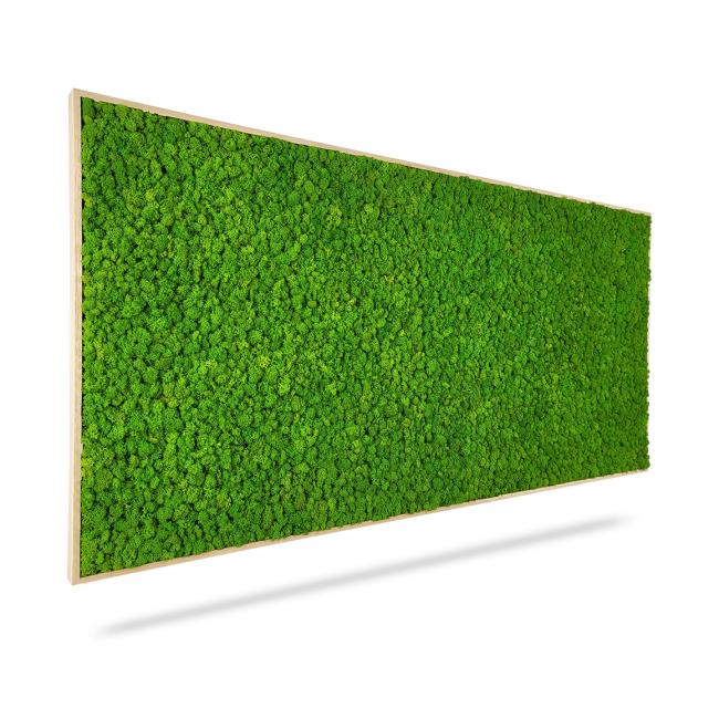 [BE000010] Moss painting LICHEN mono GREEN, 140x60cm, wooden white frame