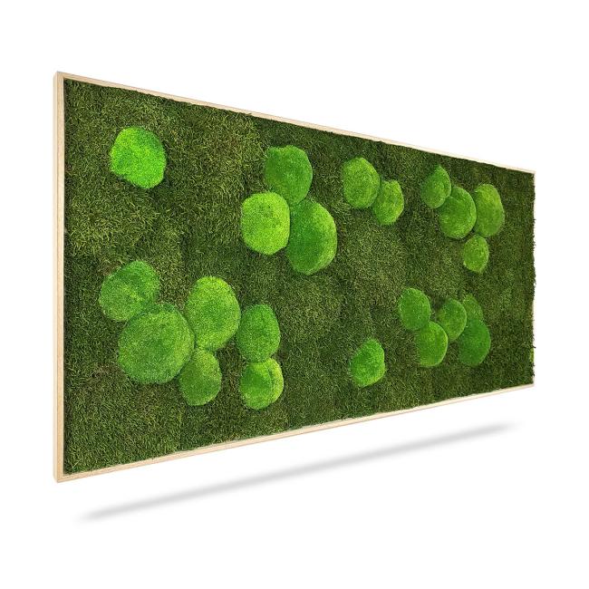 Moss painting Light Green, 80x40cm, light brown wooden frame