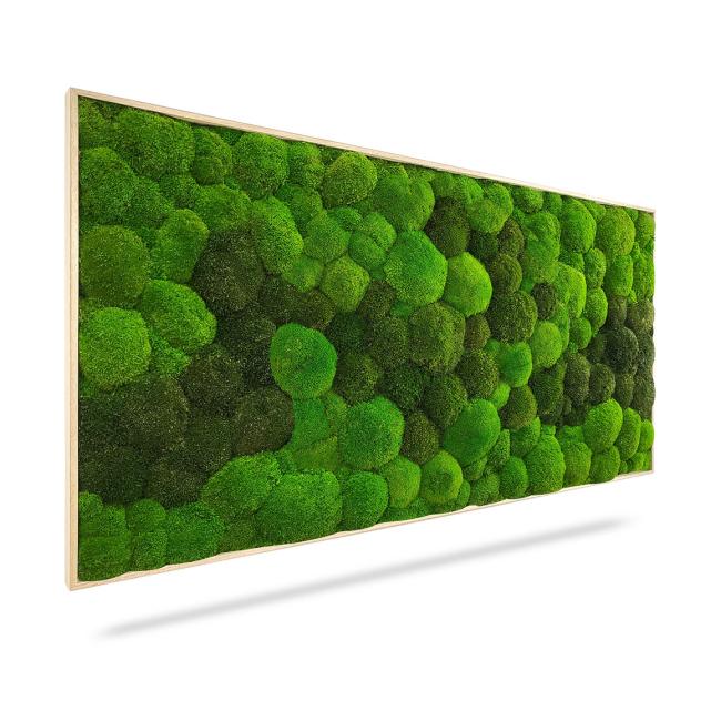 [BE000014] Machový obraz DUO Light Green, 100x50cm, drevený svetlohnedý rám