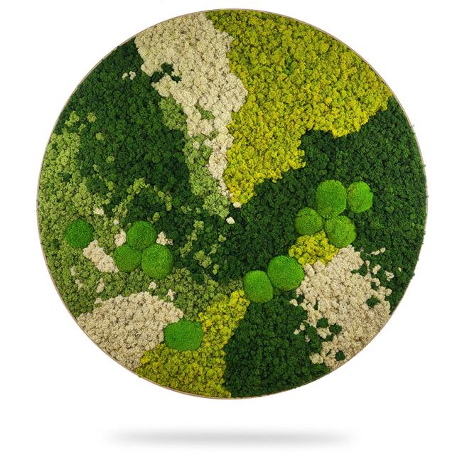 Moss picture circle ORTHO SPRING, diameter 40 cm, oak frame