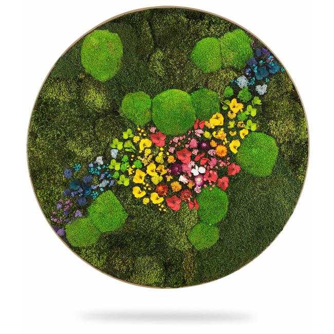 Machový maliarsky kruh RASTLINY Acebo, priemer 65 cm, dubový rám